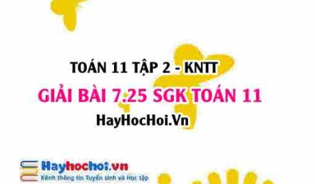 Bài 7.25 SGK Toán 11 Tập 2 Kết nối tri thức